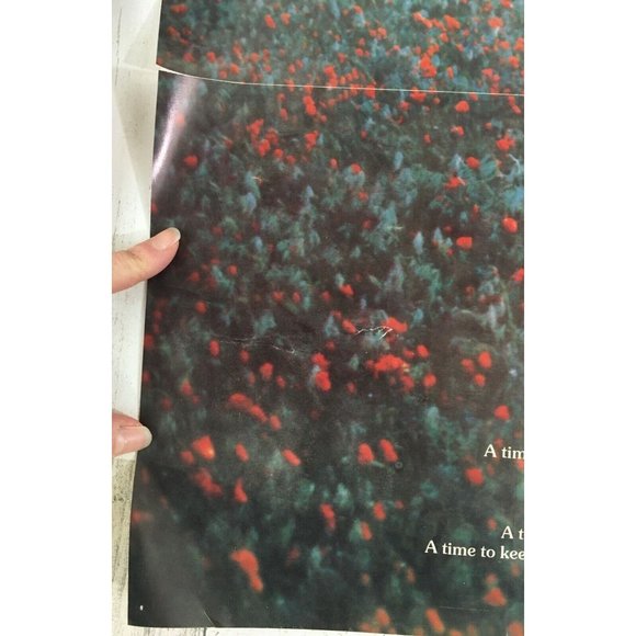 Ecclesiastes 3:1 To Everything There is a Season Vtg 1970s Book Club Poster - Picture 9 of 12